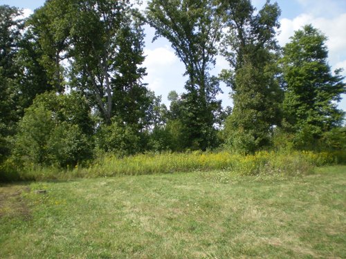Property photo 9 - 40 Acres in 4 Tracts - Great Location!